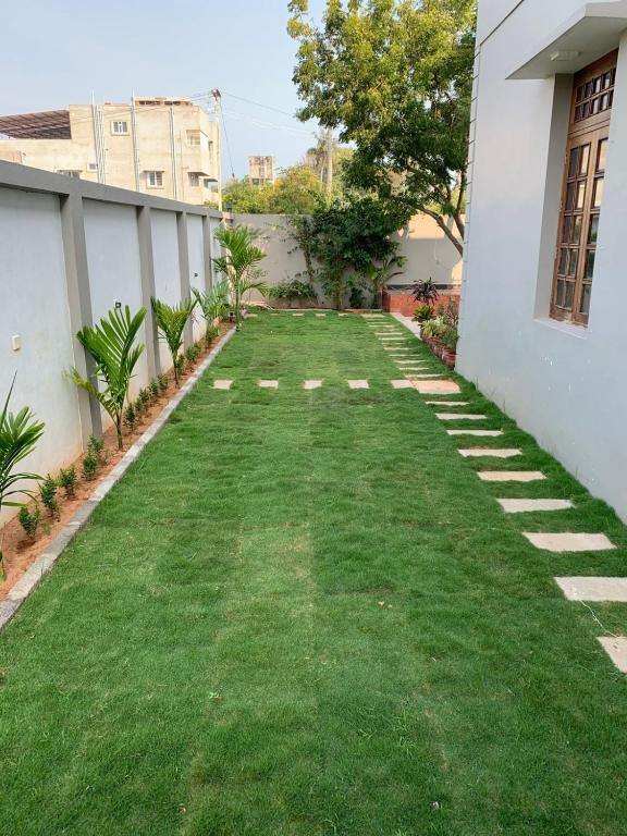 Side lawn with stepping stones